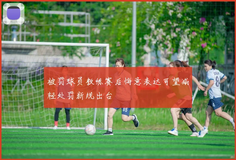 被罚球员教练赛后悔意表达可望减轻处罚新规出台